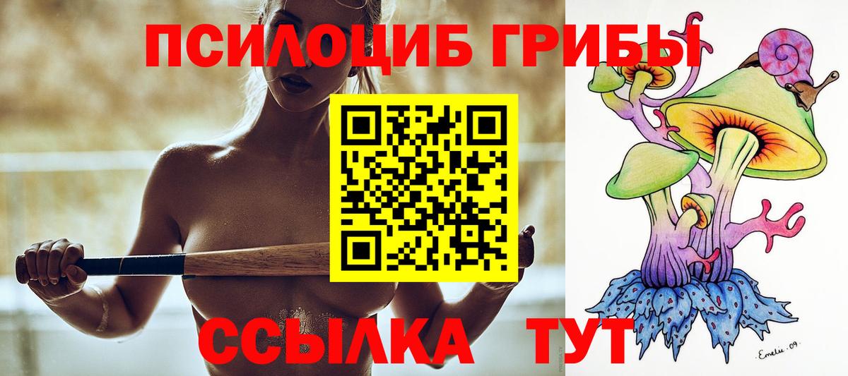 Галлюциногенные грибы прущие грибы Электросталь