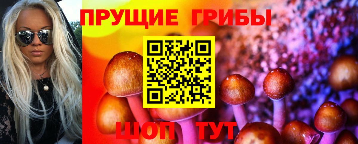 Псилоцибиновые грибы MAGIC MUSHROOMS  Вход с VPN  Электросталь  Псилоцибиновые грибы Psilocybe 